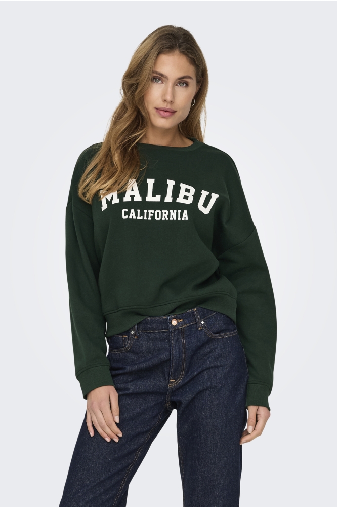 ONLSWEAT LIFE L/S CREW O.SIZE STATE 15254183 Pine Grove/MALIBU